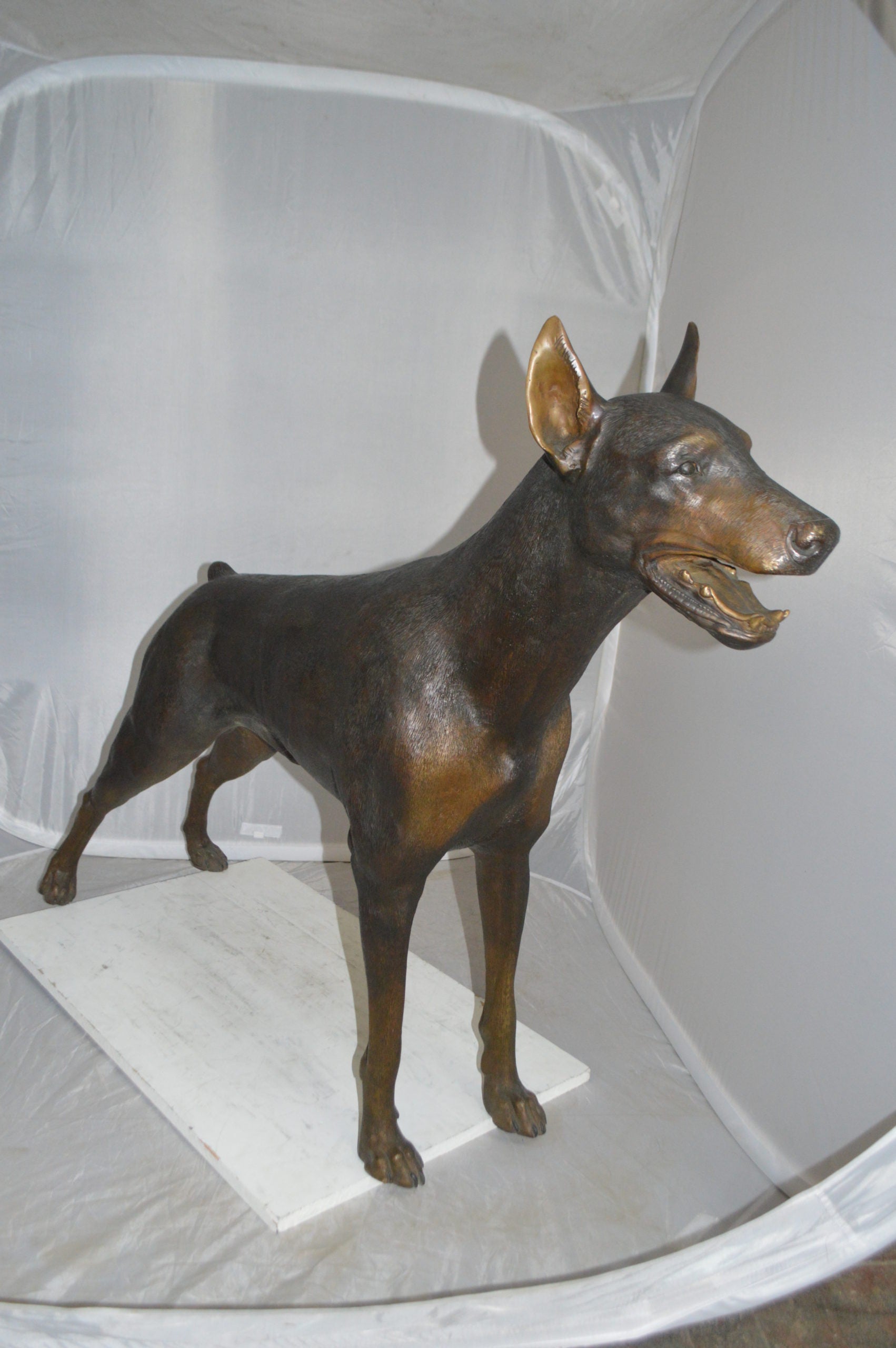 Doberman - Large Bronze Statue -  Size: 14"L x 52"W x 38"H. 