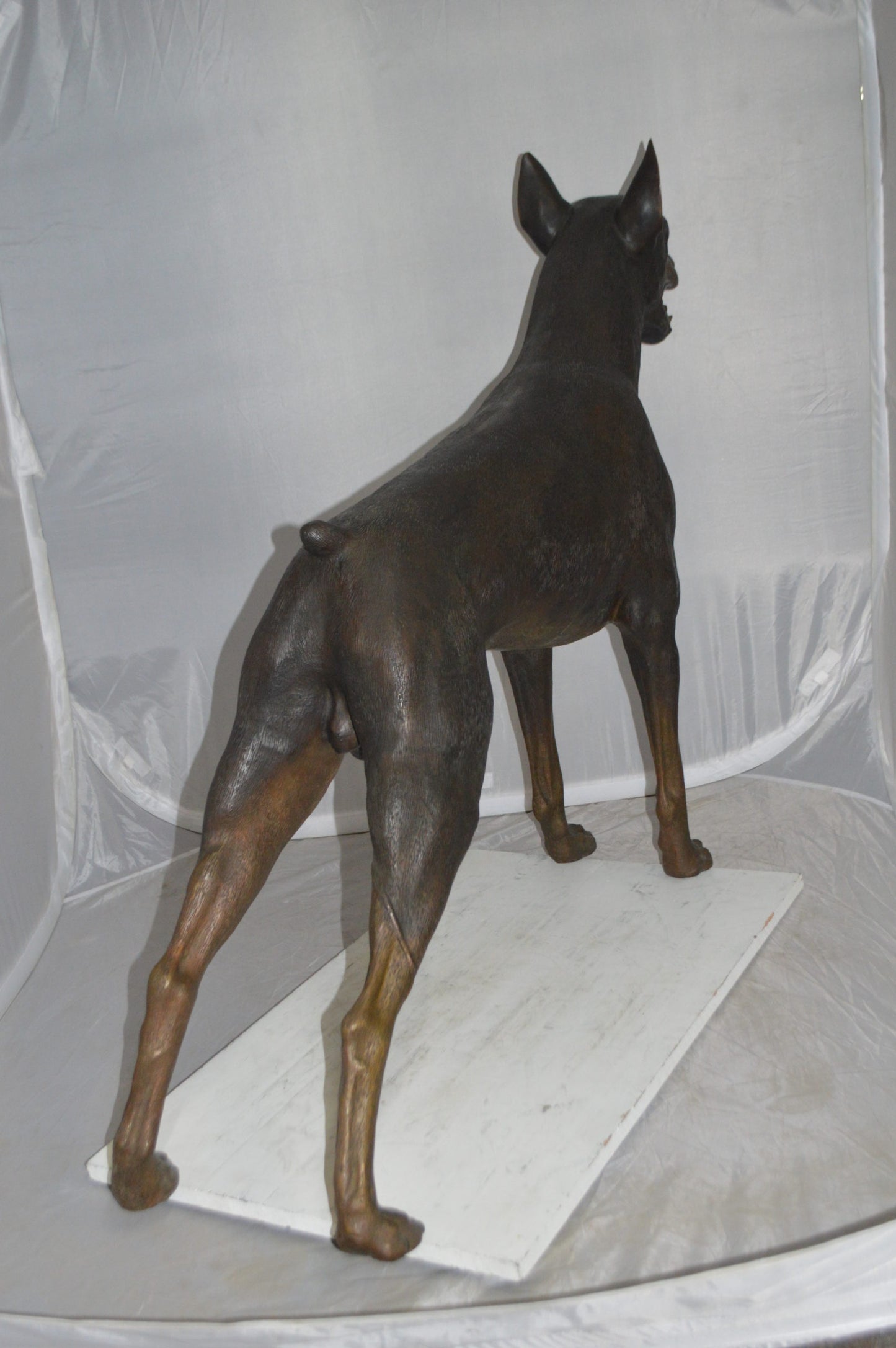 Doberman - Large Bronze Statue -  Size: 14"L x 52"W x 38"H. 