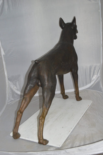 Doberman - Large Bronze Statue -  Size: 14"L x 52"W x 38"H. 