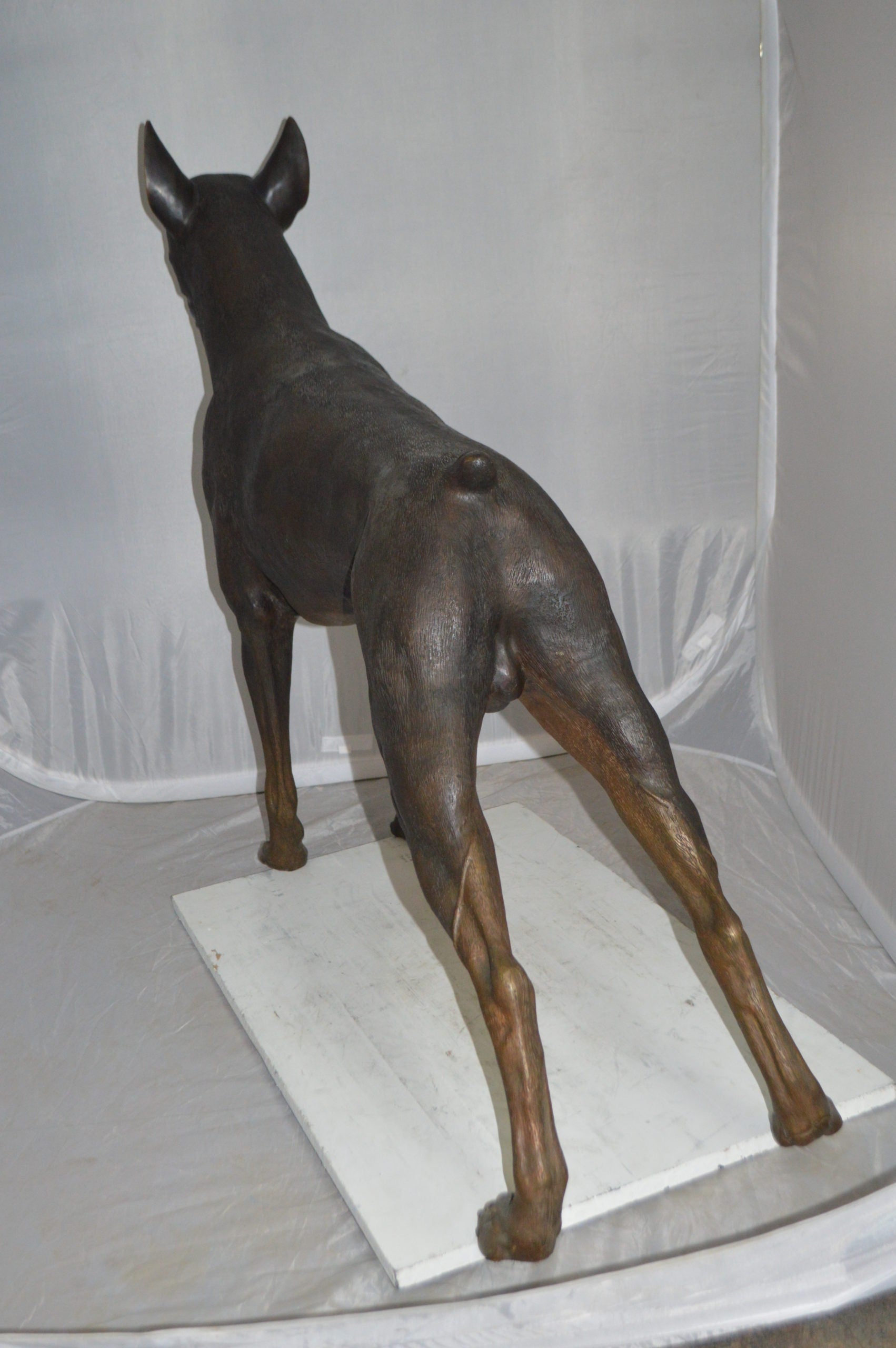 Doberman - Large Bronze Statue -  Size: 14"L x 52"W x 38"H. 