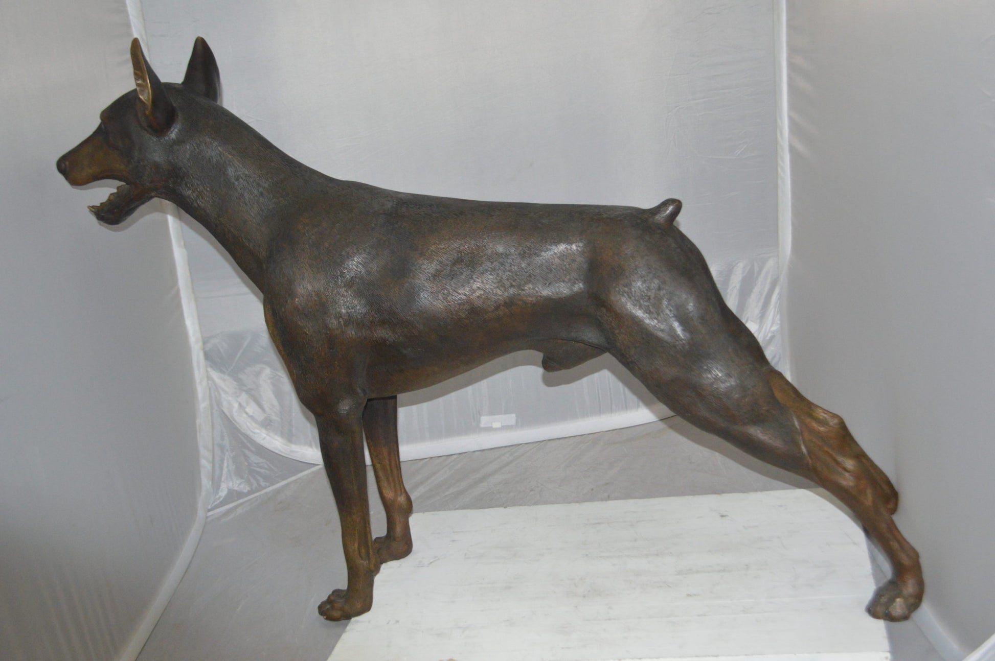 Doberman - Large Bronze Statue -  Size: 14"L x 52"W x 38"H. 