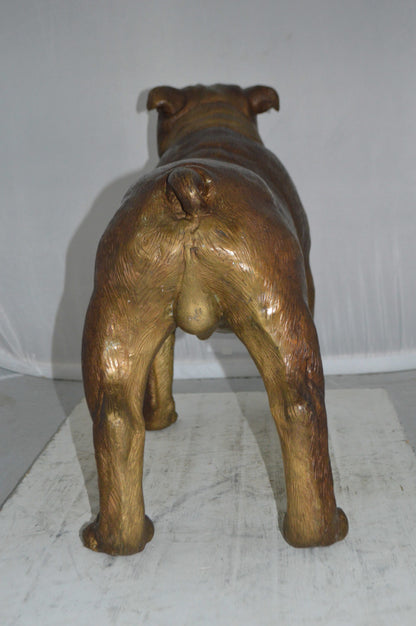 Bulldog Medium Bronze Statue -  Size: 29"L x 11"W x 20"H.