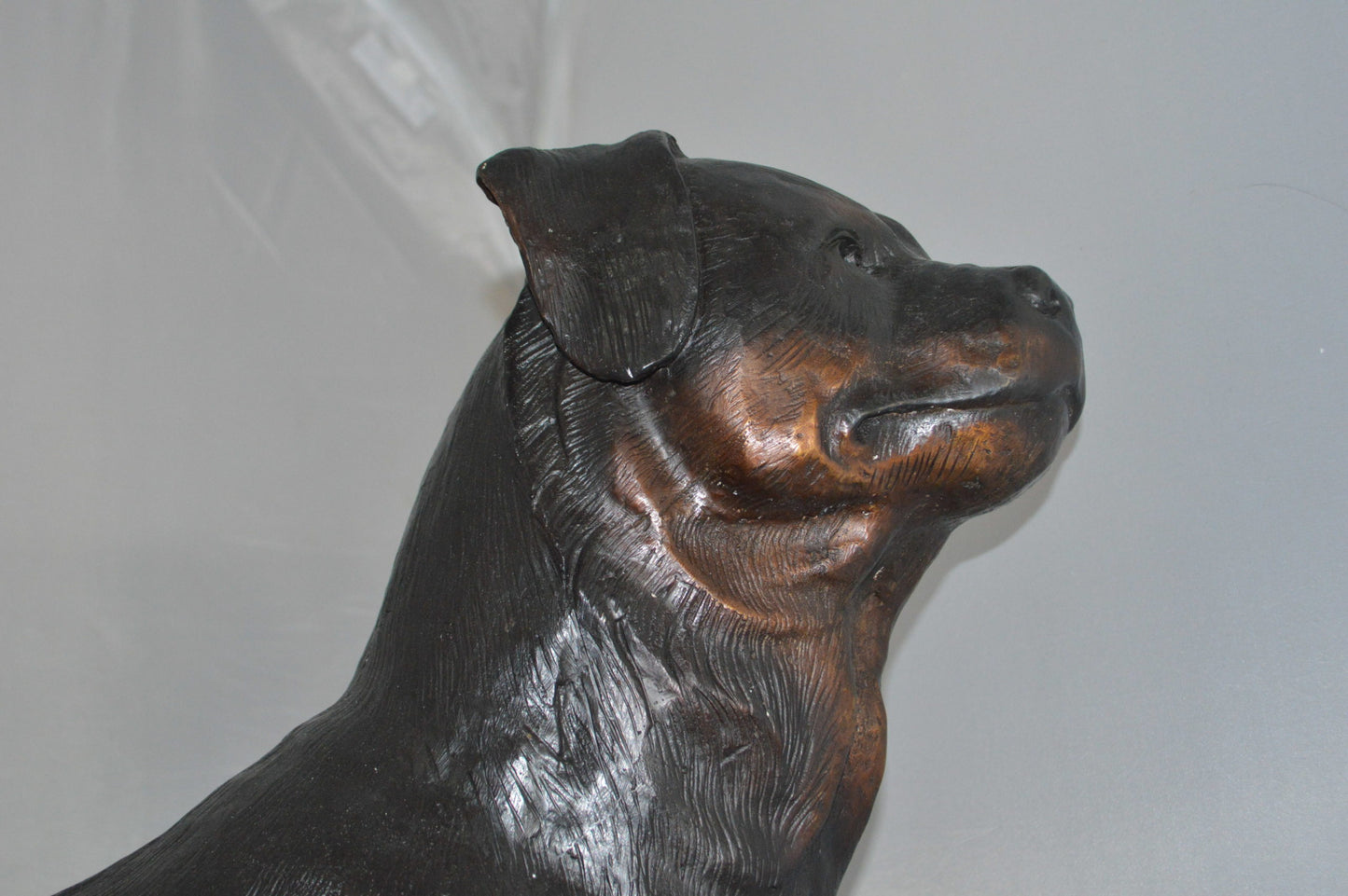 Rottweiler Dog Bronze Statue -  Size: 44"L x 10"W x 36"H.