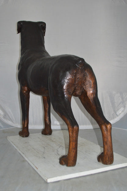 Rottweiler Dog Bronze Statue -  Size: 44"L x 10"W x 36"H.