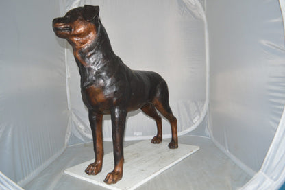 Rottweiler Dog Bronze Statue -  Size: 44"L x 10"W x 36"H.