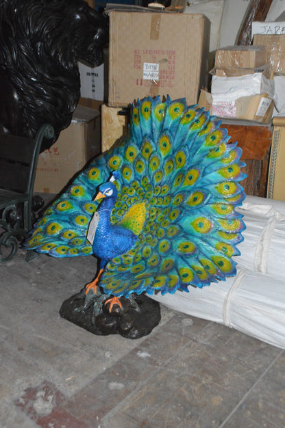 Colorful Peacock Bronze Statue -  Size: 24"L x 39"W x 35"H. 