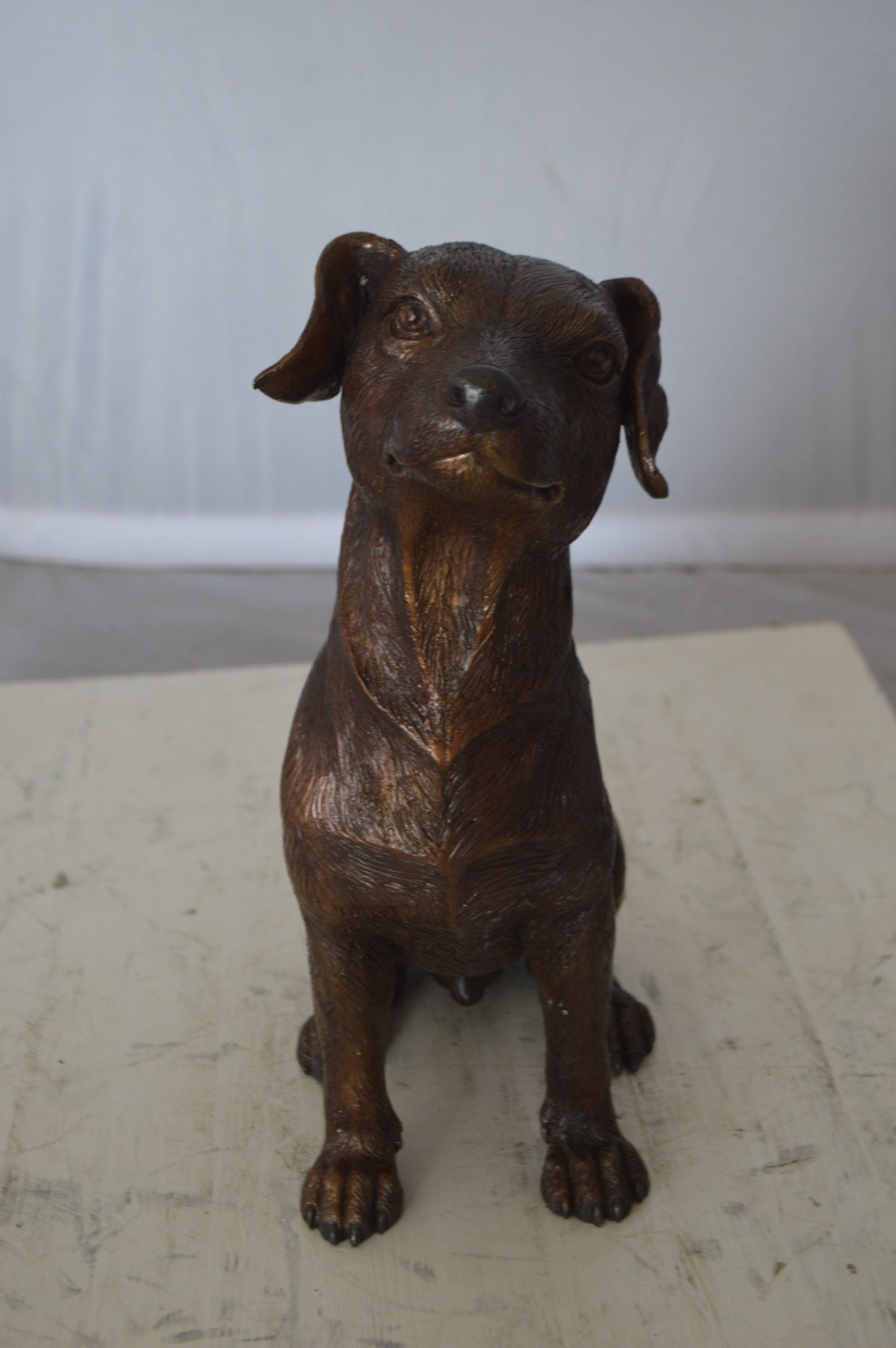 Jack Russel dog standing Bronze Statue -  Size: 10"L x 6"W x 14"H. 