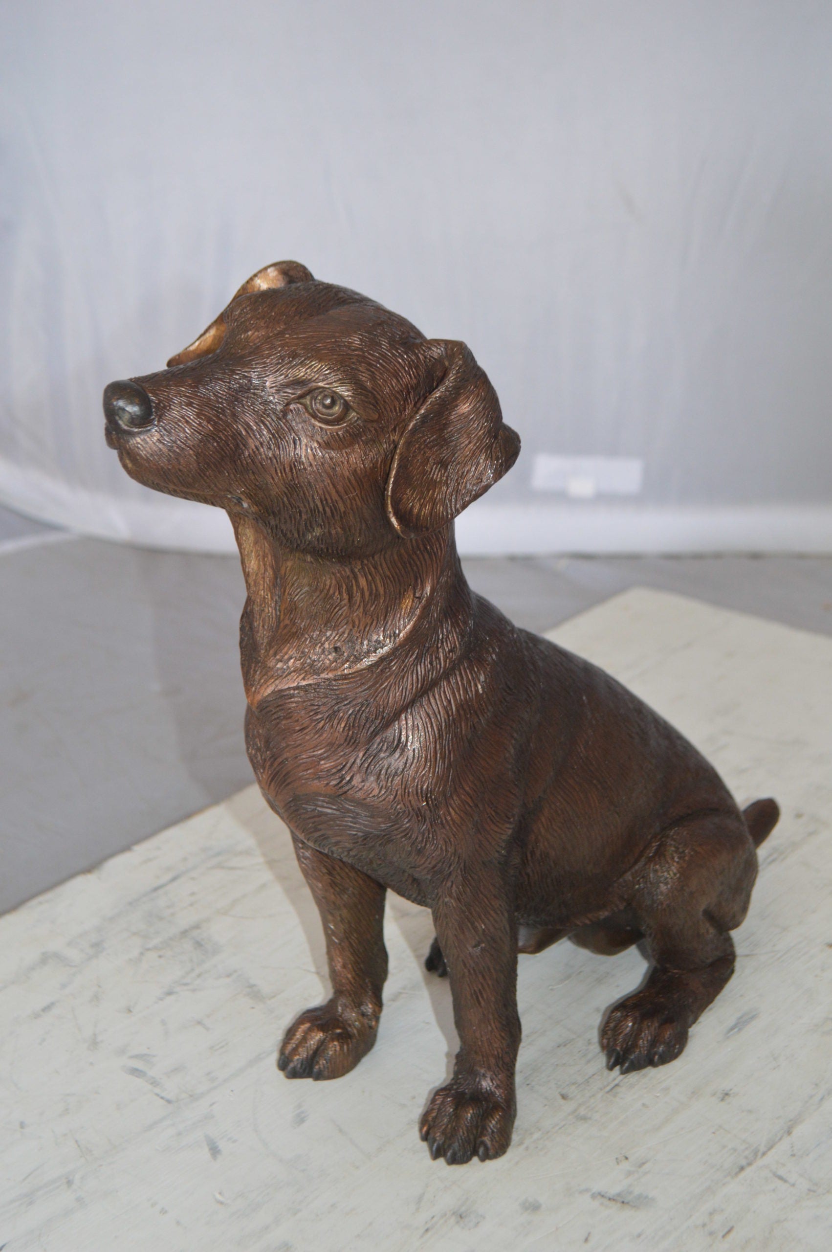 Jack Russel dog standing Bronze Statue -  Size: 10"L x 6"W x 14"H. 