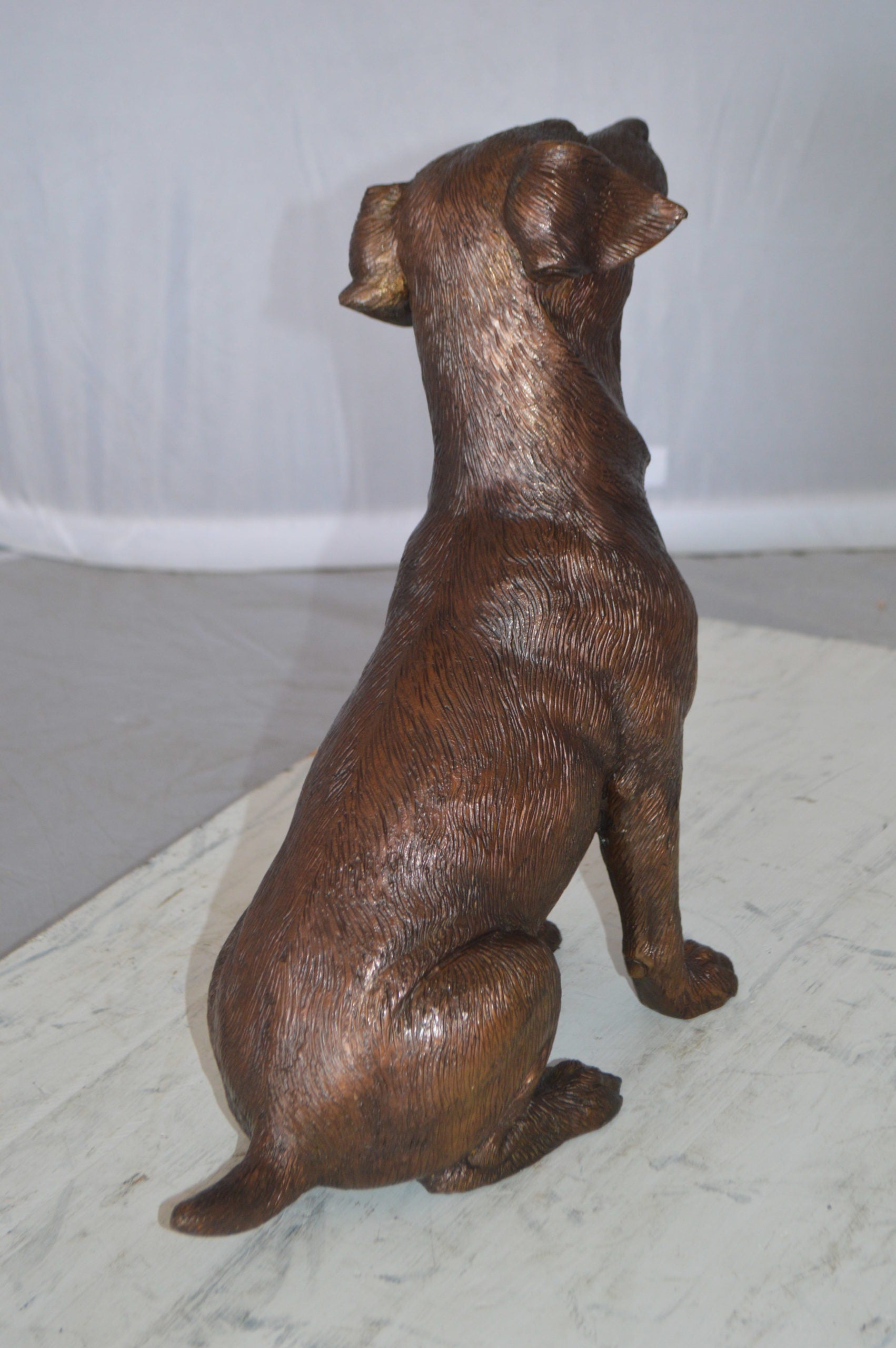 Jack Russel dog standing Bronze Statue -  Size: 10"L x 6"W x 14"H. 