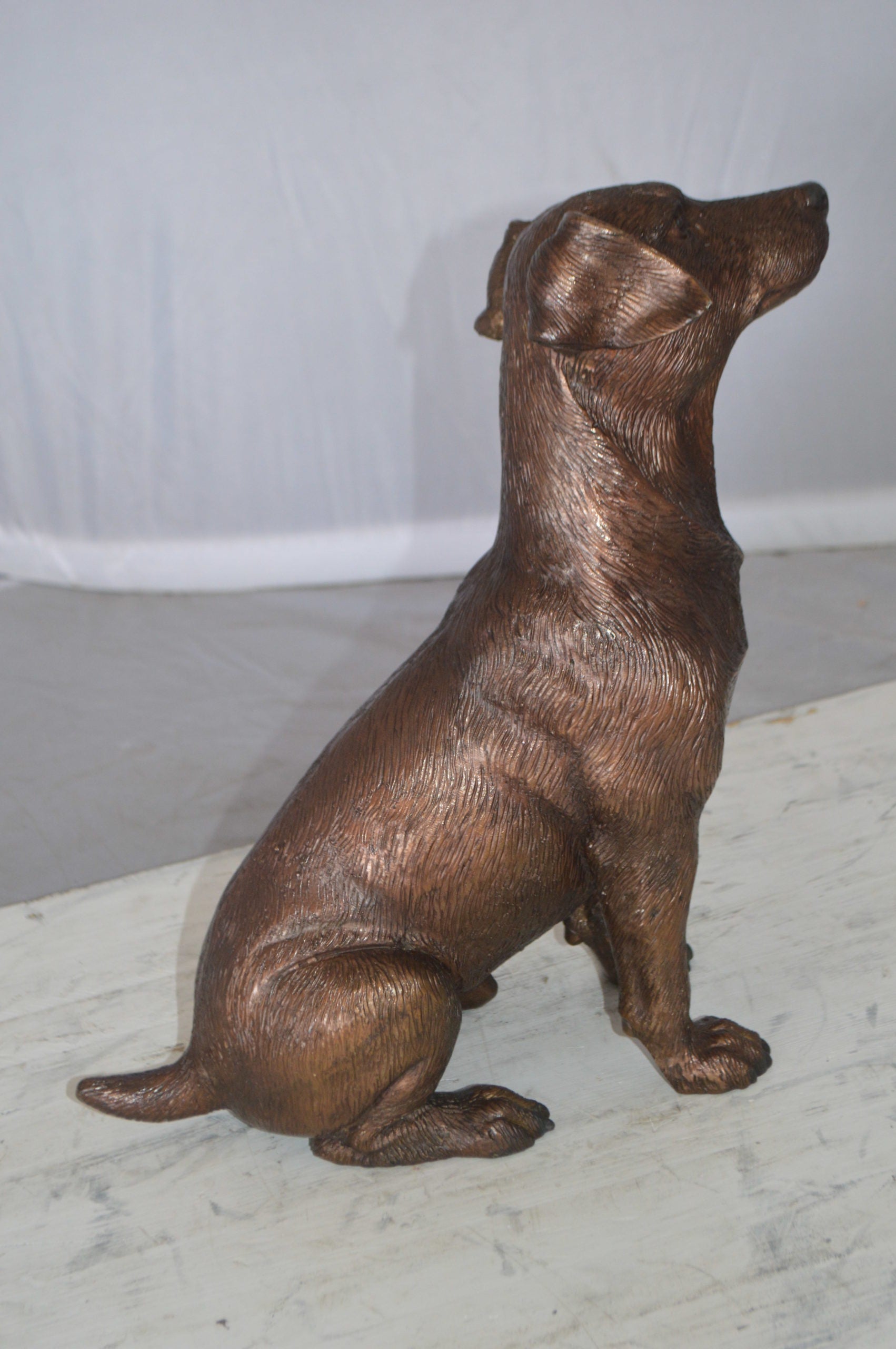 Jack Russel dog standing Bronze Statue -  Size: 10"L x 6"W x 14"H. 