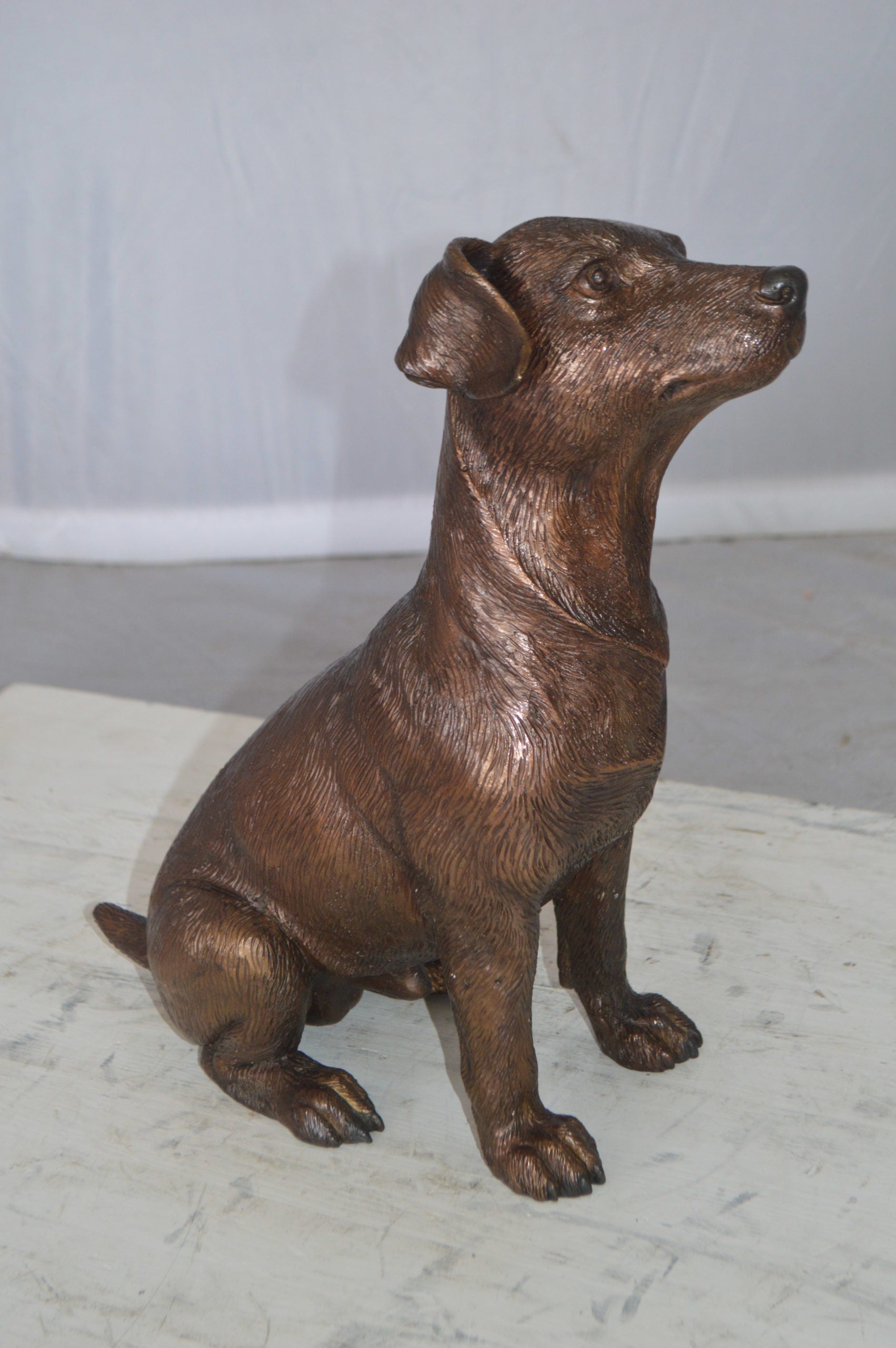 Jack Russel dog standing Bronze Statue -  Size: 10"L x 6"W x 14"H. 