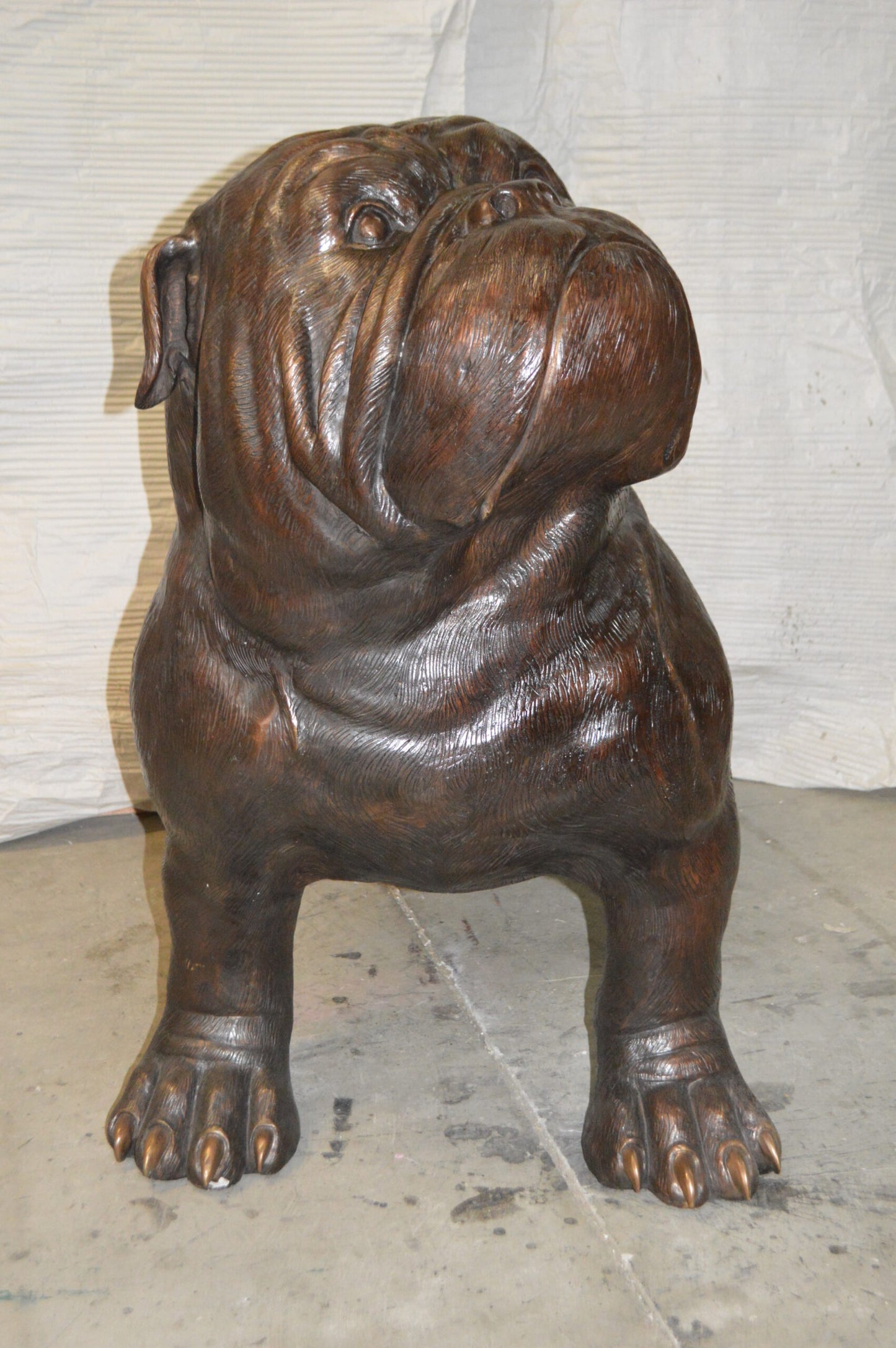 Bulldog Giant Bronze Statue -  Size: 62"L x 26"W x 44"H.