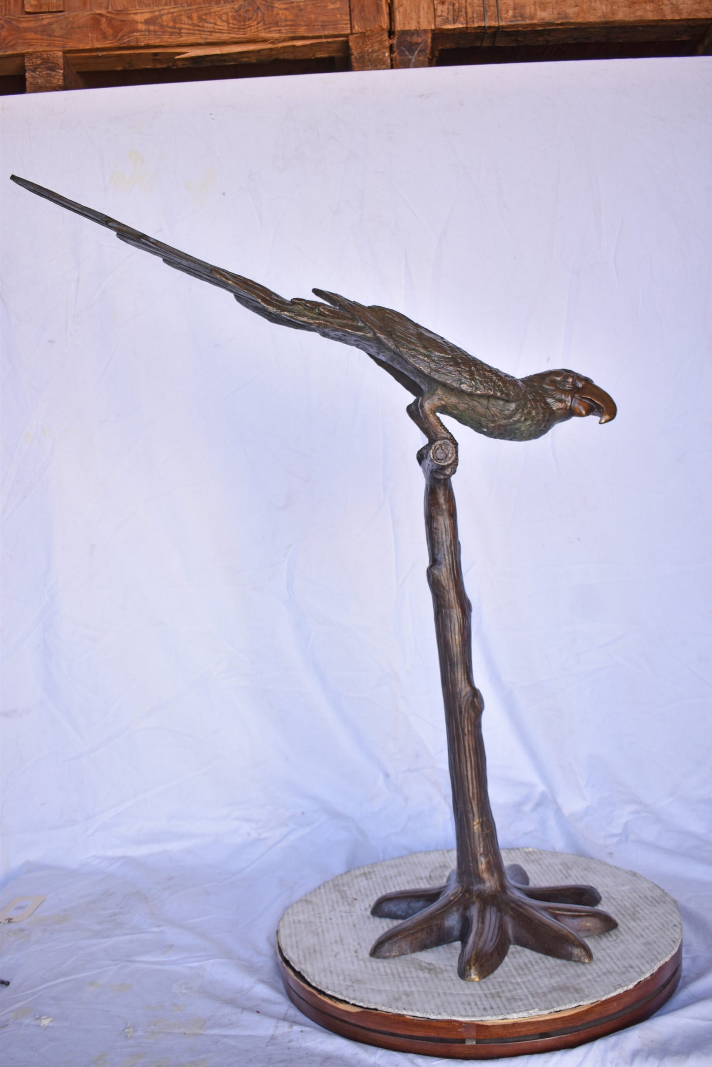 Parrot on a Tree looking Down Bronze Statue - Size: 37"L x 15"W x 47"H.