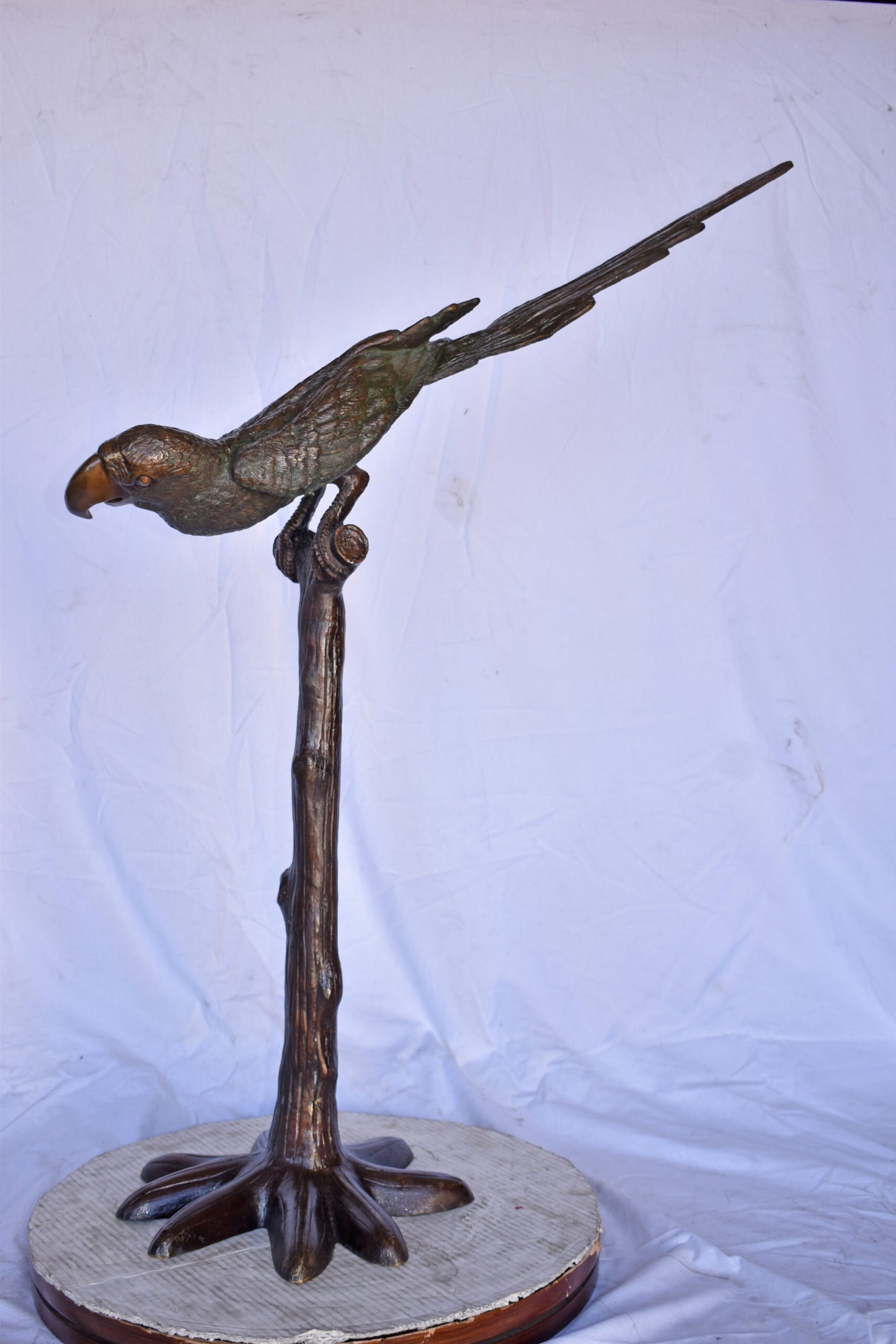 Parrot on a Tree looking Down Bronze Statue - Size: 37"L x 15"W x 47"H.