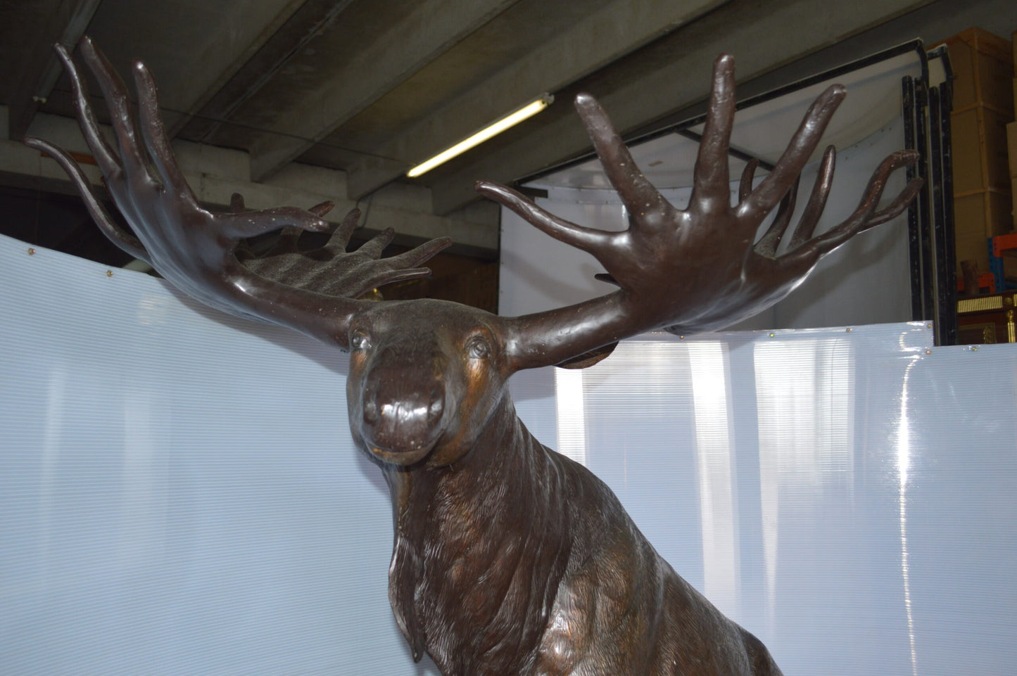 Moose - Life Size Bronze Statue -  Size: 62"L x 48"W x 80"H.