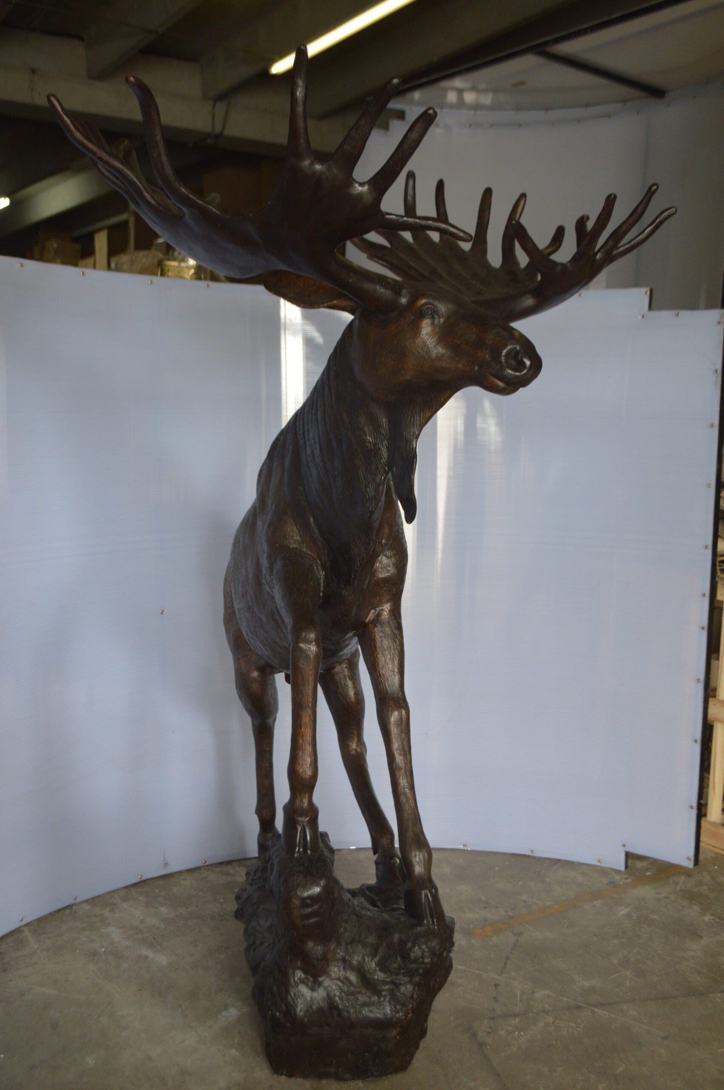 Moose - Life Size Bronze Statue -  Size: 62"L x 48"W x 80"H.