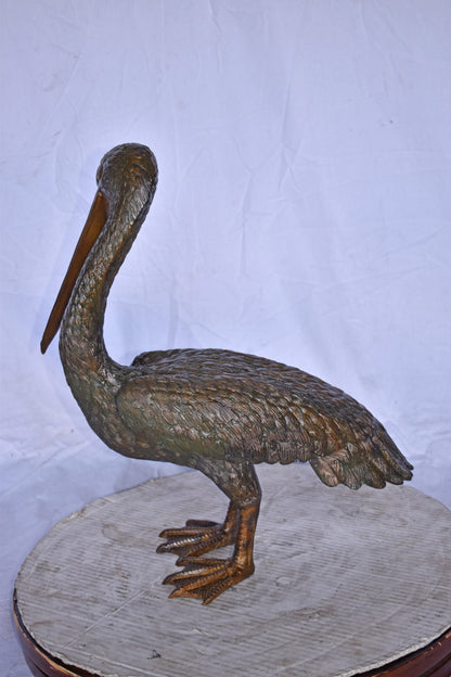 Pelican Standing and Looking Down Bronze Statue - Size: 20"L x 8"W x 22"H.