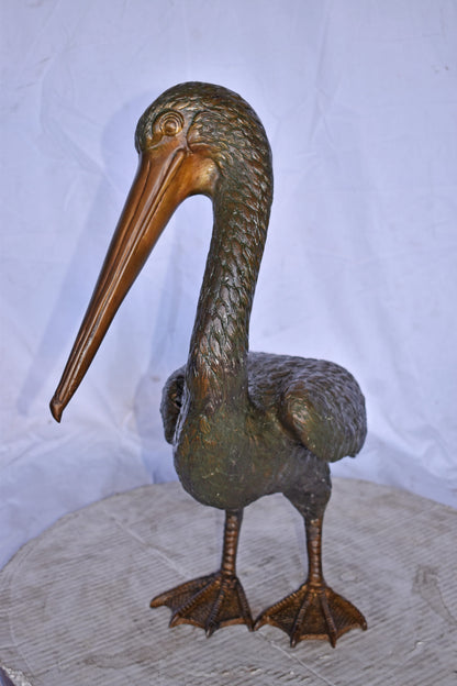 Pelican Standing and Looking Down Bronze Statue - Size: 20"L x 8"W x 22"H.