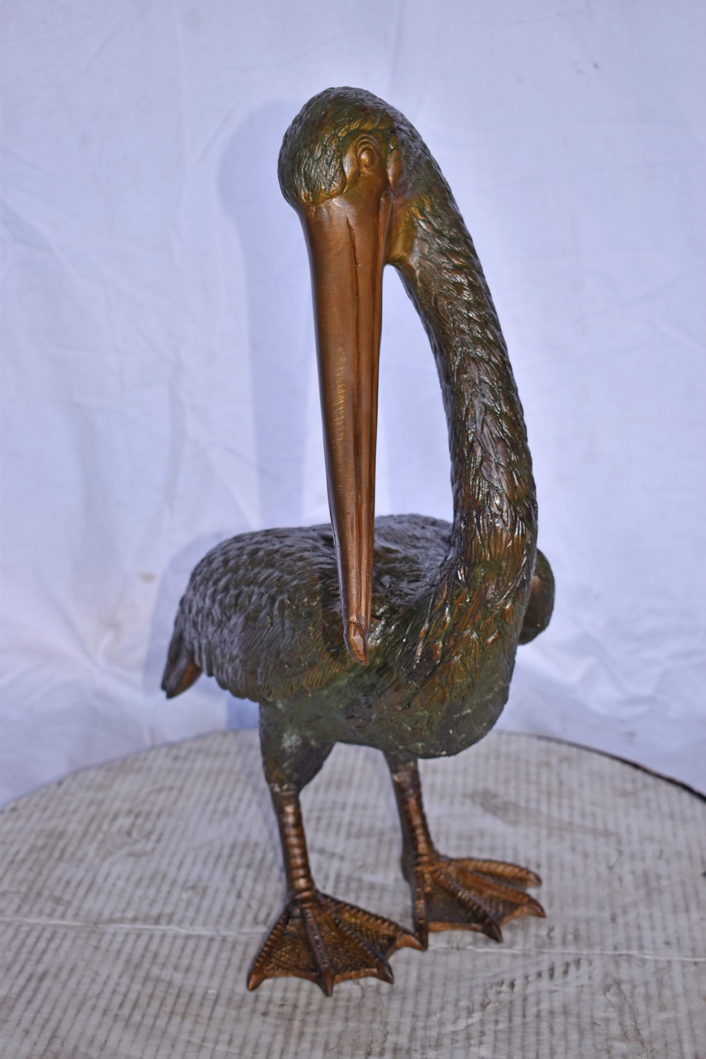 Pelican Standing and Looking Down Bronze Statue - Size: 20"L x 8"W x 22"H.