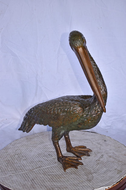 Pelican Standing and Looking Down Bronze Statue - Size: 20"L x 8"W x 22"H.