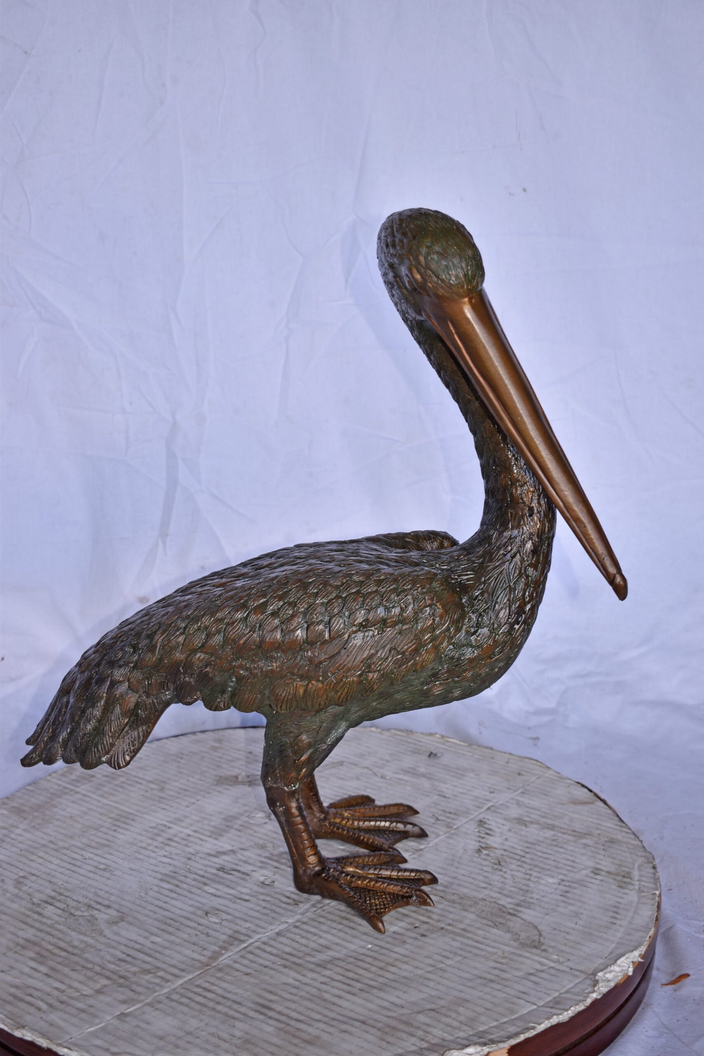 Pelican Standing and Looking Down Bronze Statue - Size: 20"L x 8"W x 22"H.