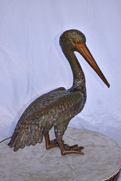 Pelican Standing and Looking Down Bronze Statue - Size: 20"L x 8"W x 22"H.