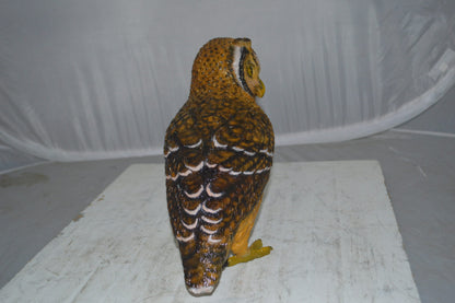Owl Standing Bronze Statue - Size: 13"L x 7"W x 11"H.