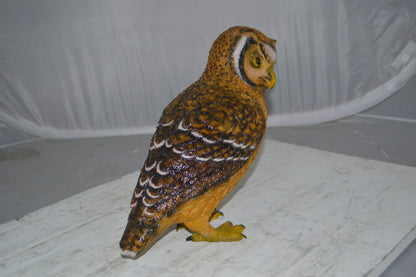 Owl Standing Bronze Statue - Size: 13"L x 7"W x 11"H.
