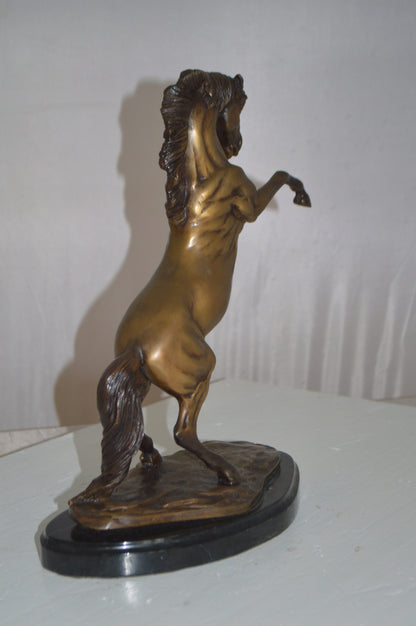 Rearing Horse - medium Bronze Statue -  Size: 11"L x 6"W x 14"H.