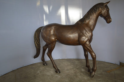 Standing horse - large Bronze Statue -  Size: 58"L x 16"W x 50"H.