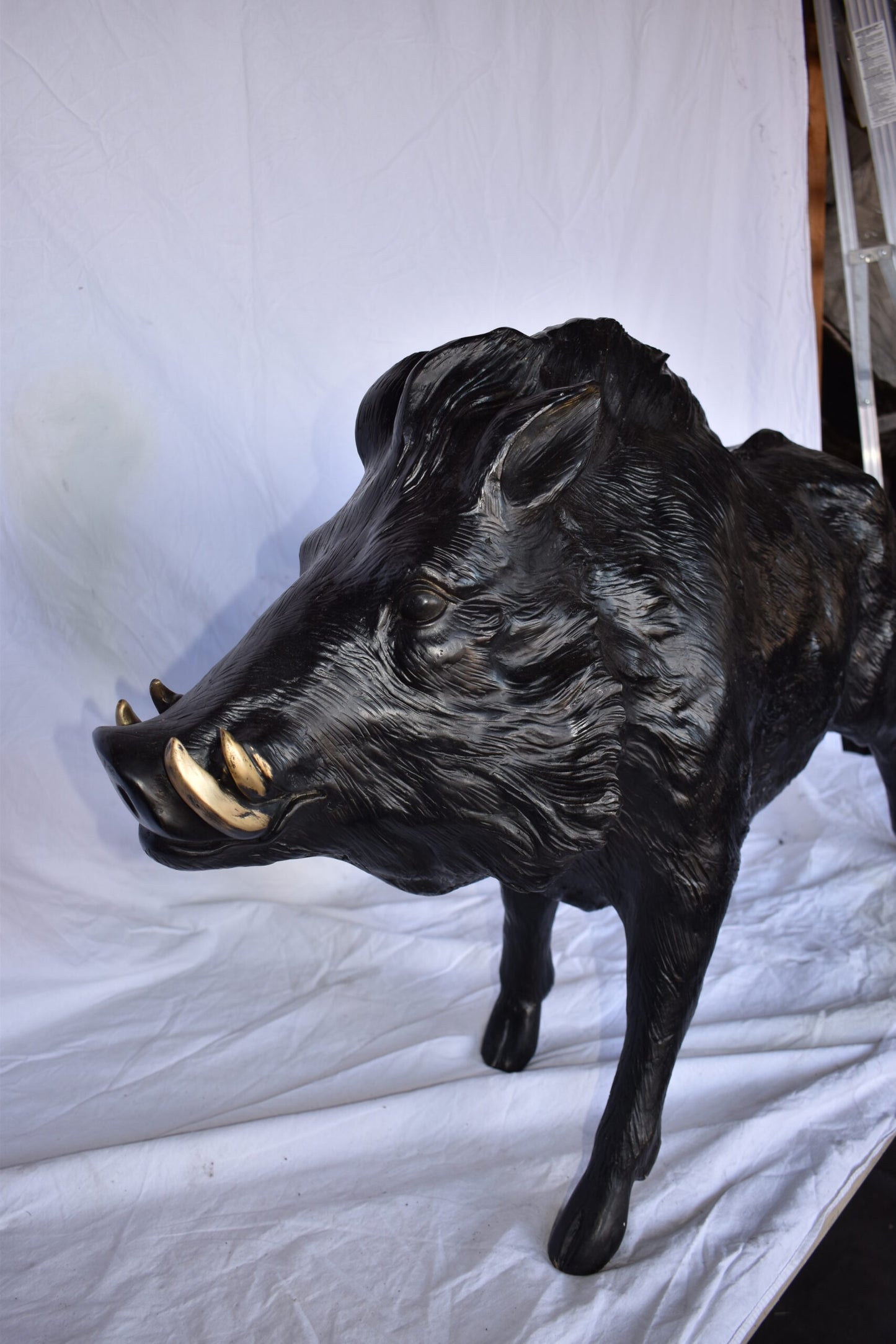 Lifesize Boar Made of Bronze, Statue  - Size: 12"L x 50"W x 30"H.