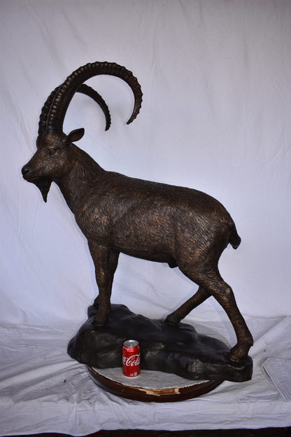 Standing Lifesize Mountain Goat Bronze Statue  - Size: 22"L x 36"W x 48"H.
