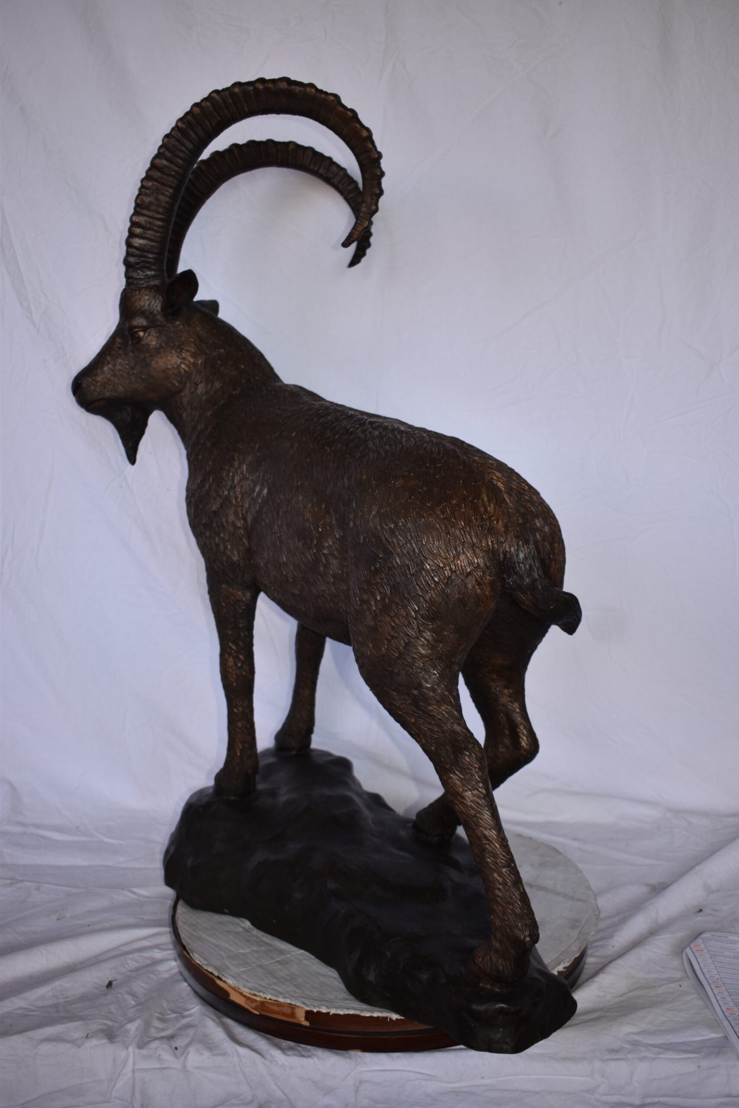 Standing Lifesize Mountain Goat Bronze Statue  - Size: 22"L x 36"W x 48"H.