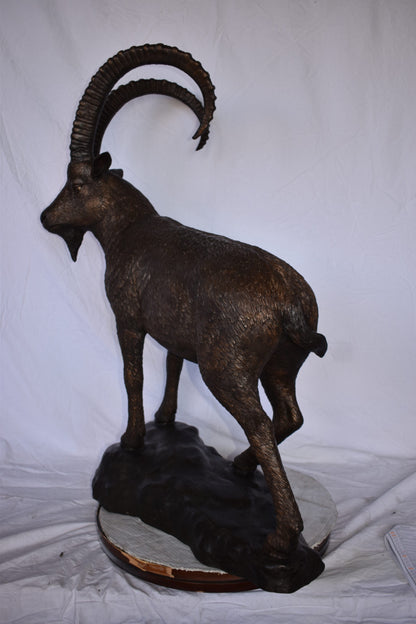 Standing Lifesize Mountain Goat Bronze Statue  - Size: 22"L x 36"W x 48"H.