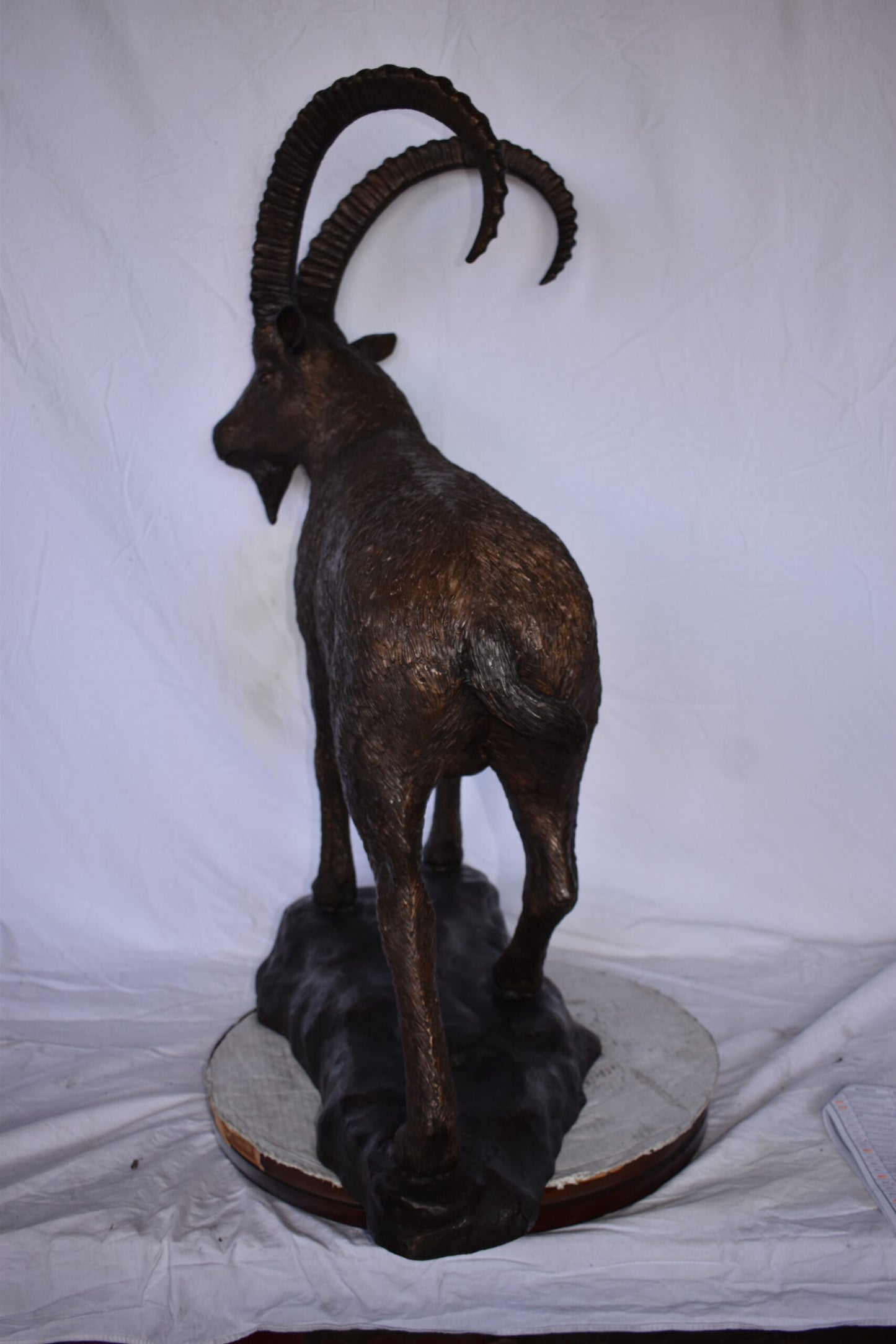 Standing Lifesize Mountain Goat Bronze Statue  - Size: 22"L x 36"W x 48"H.
