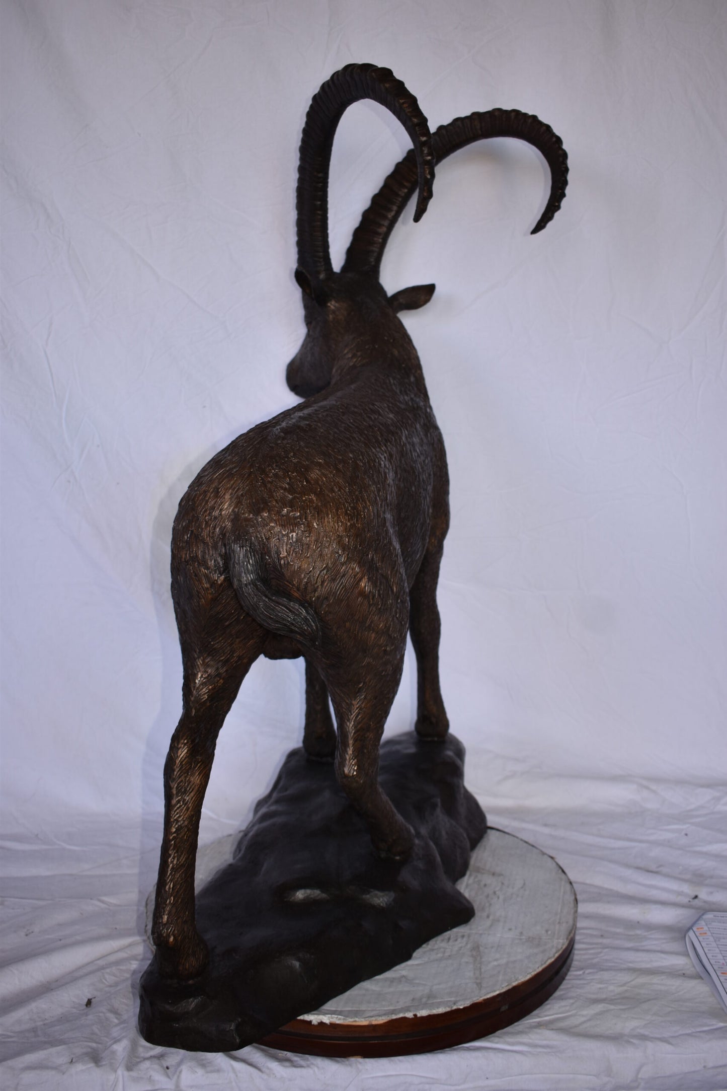 Standing Lifesize Mountain Goat Bronze Statue  - Size: 22"L x 36"W x 48"H.