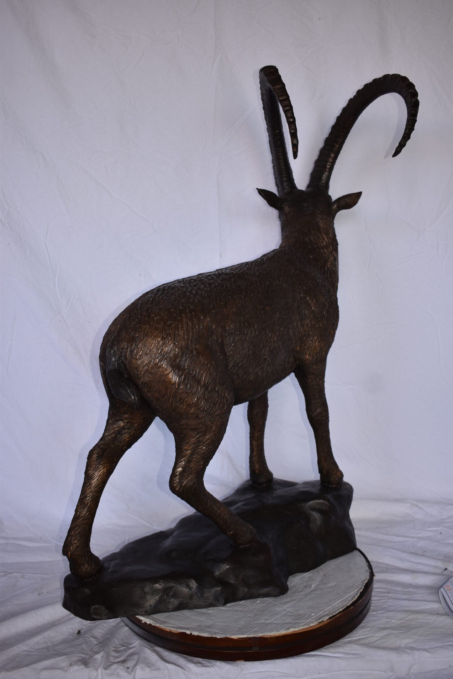 Standing Lifesize Mountain Goat Bronze Statue  - Size: 22"L x 36"W x 48"H.