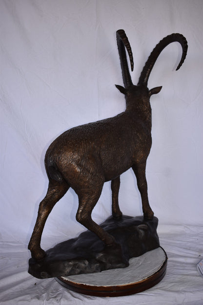 Standing Lifesize Mountain Goat Bronze Statue  - Size: 22"L x 36"W x 48"H.