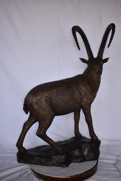 Standing Lifesize Mountain Goat Bronze Statue  - Size: 22"L x 36"W x 48"H.