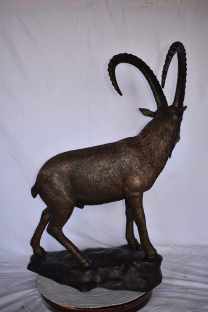 Standing Lifesize Mountain Goat Bronze Statue  - Size: 22"L x 36"W x 48"H.