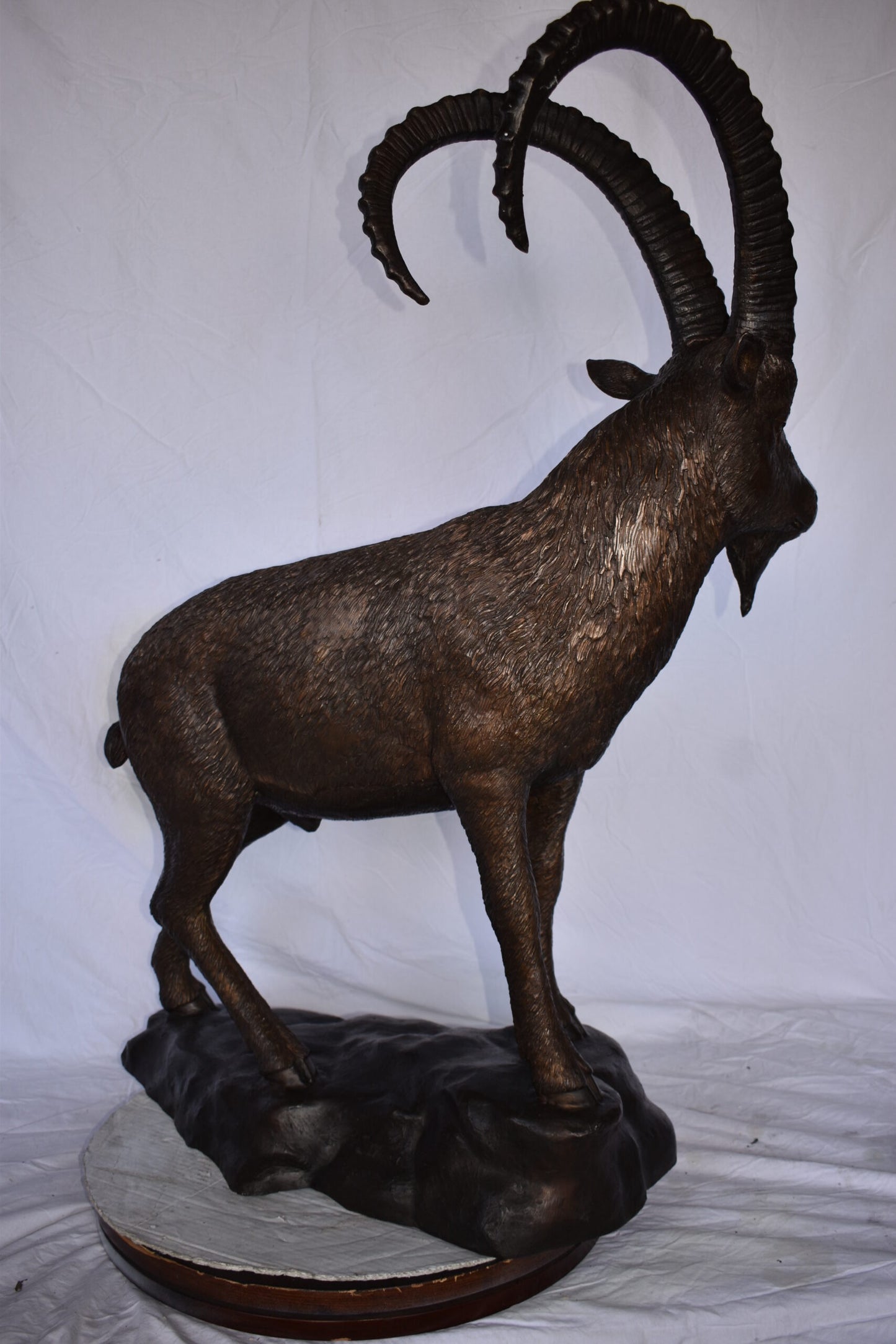 Standing Lifesize Mountain Goat Bronze Statue  - Size: 22"L x 36"W x 48"H.