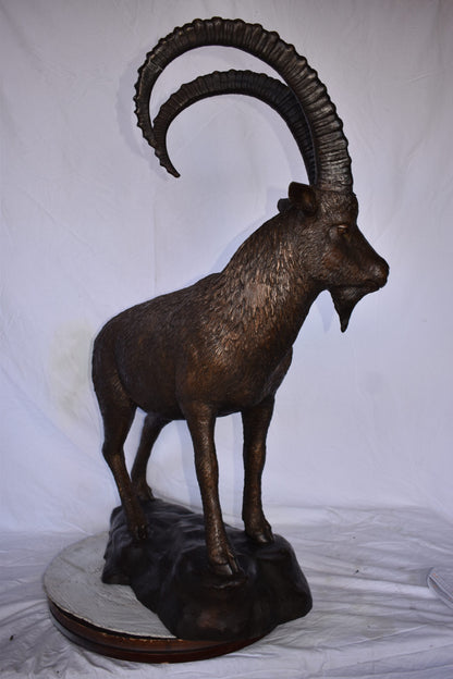 Standing Lifesize Mountain Goat Bronze Statue  - Size: 22"L x 36"W x 48"H.