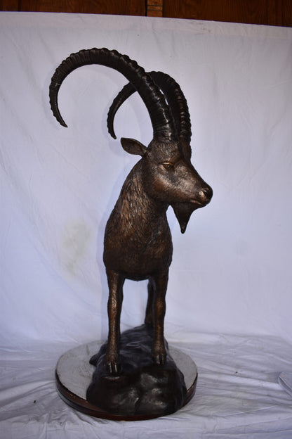 Standing Lifesize Mountain Goat Bronze Statue  - Size: 22"L x 36"W x 48"H.