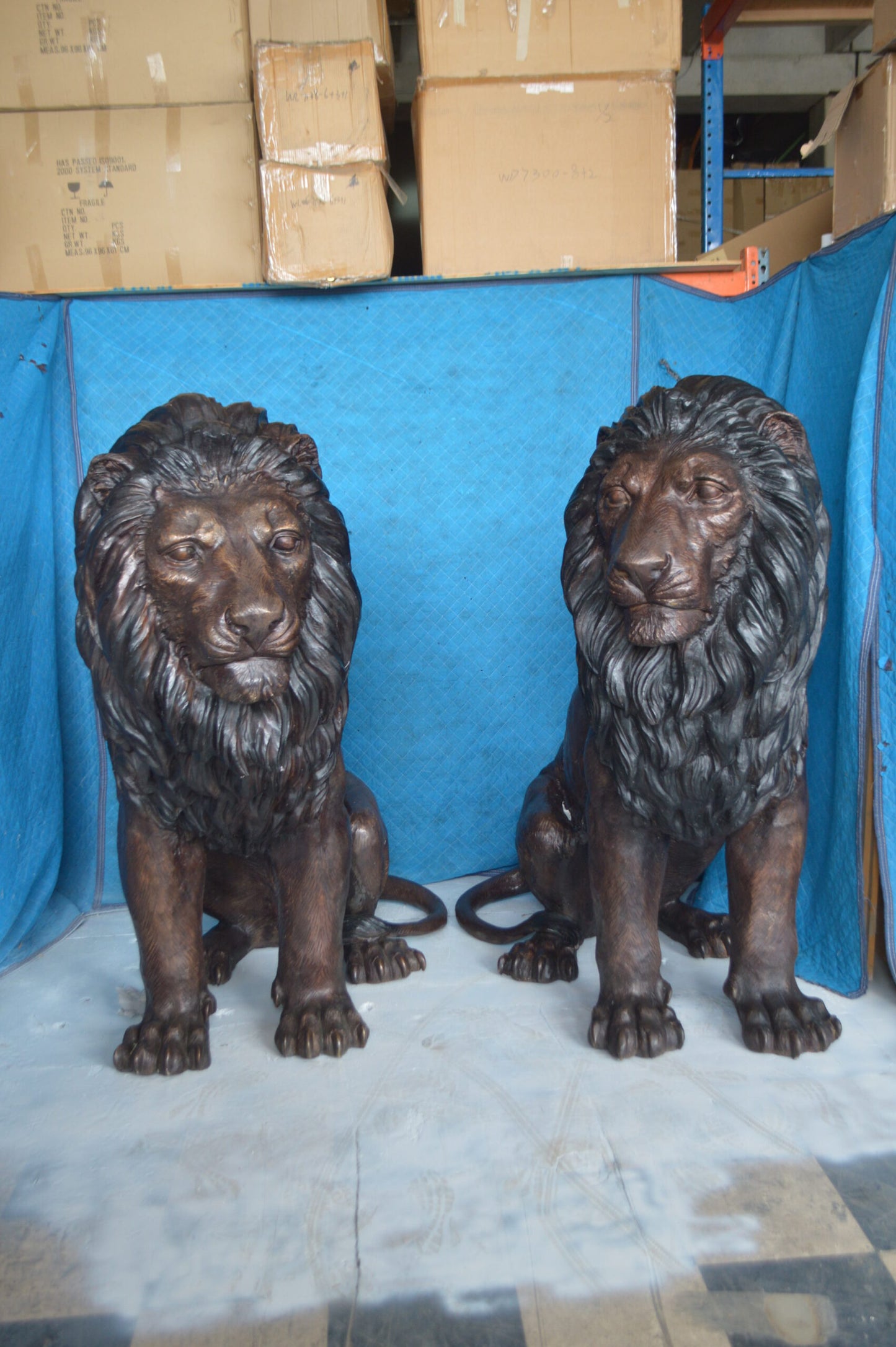 Pair of life size lion bronze statues -  Size: 55"L x 28"W x 60"H.