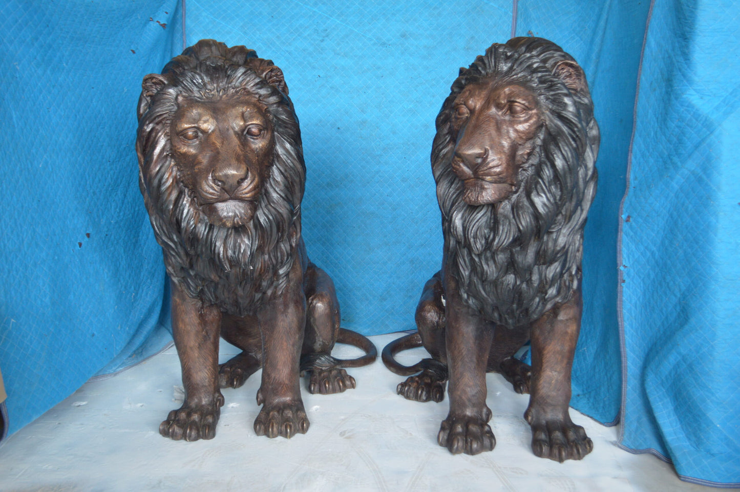 Pair of life size lion bronze statues -  Size: 55"L x 28"W x 60"H.
