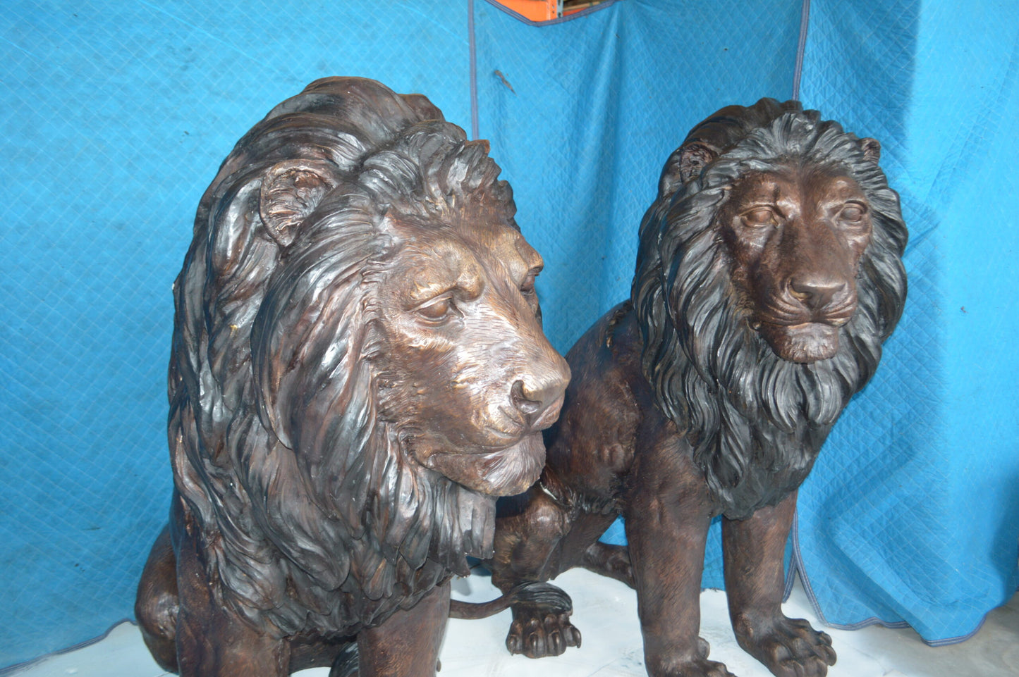 Pair of life size lion bronze statues -  Size: 55"L x 28"W x 60"H.