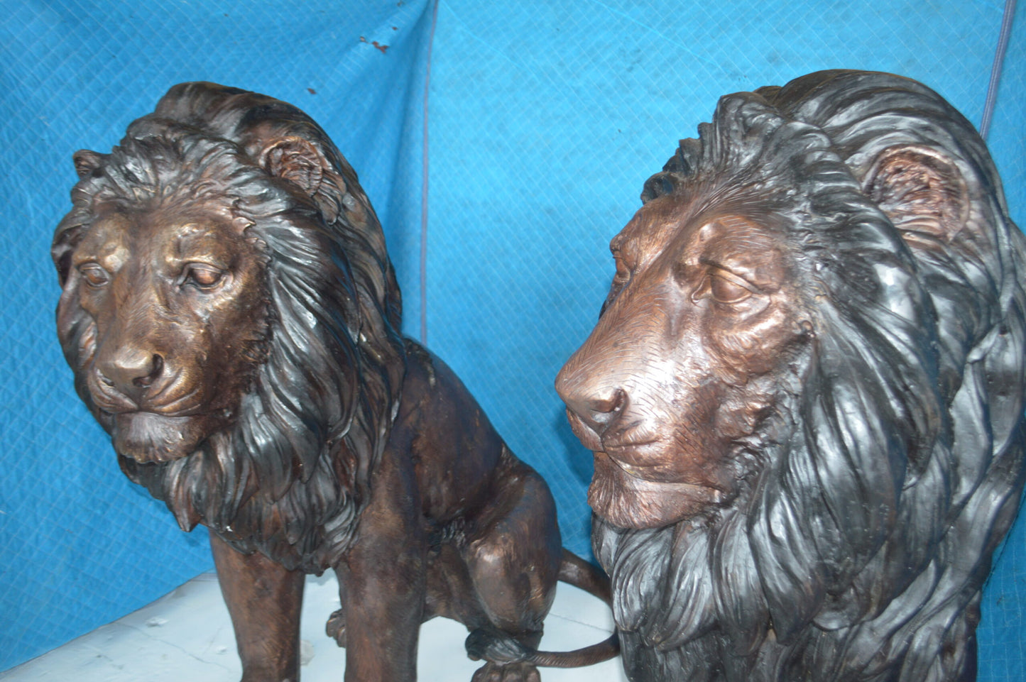 Pair of life size lion bronze statues -  Size: 55"L x 28"W x 60"H.