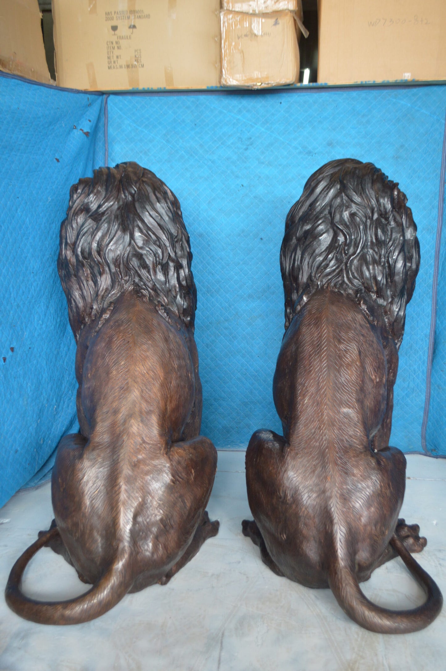 Pair of life size lion bronze statues -  Size: 55"L x 28"W x 60"H.