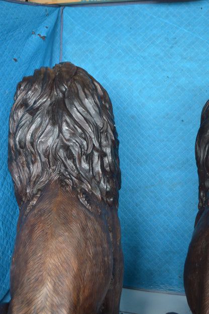 Pair of life size lion bronze statues -  Size: 55"L x 28"W x 60"H.