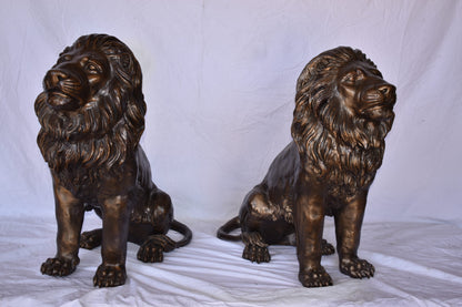 A Pair of Lions Sitting on The Ground Bronze Statues Size: 14" x 27" x 29"H